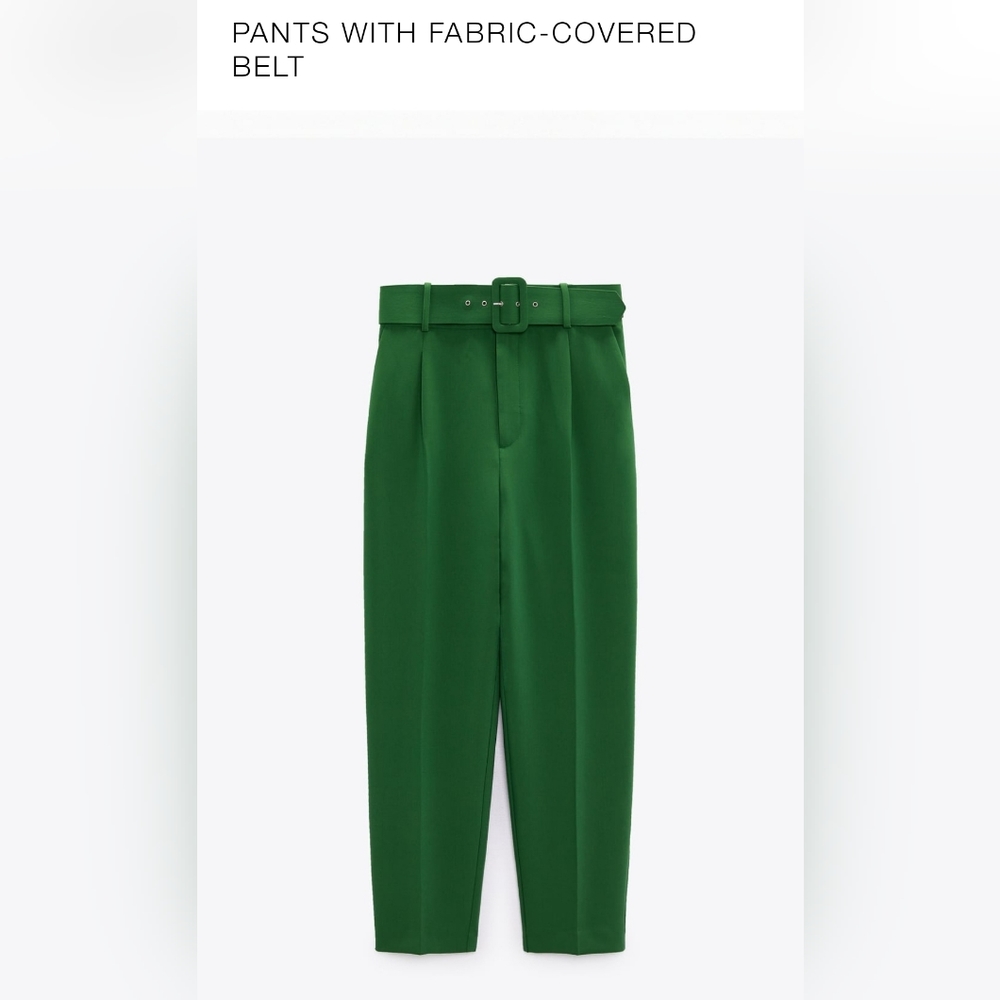 Zara belted highwaist pants.
